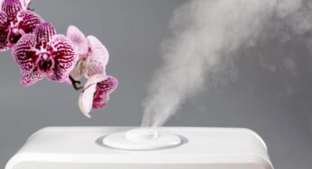 Umidificatore perfetto per la casa a costo zero: l’ho copiato da nonna
