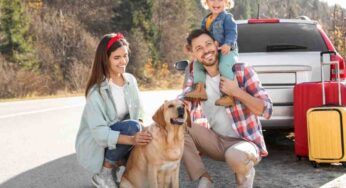 Devo affrontare un viaggio in macchina con il mio cane: i suggerimenti del veterinario