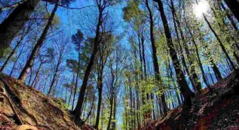 E’ un posto magico, che all’improvviso si colora di blu: scopri questa meta in Europa