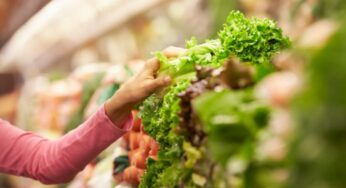 Ti è mai capitato che l’insalata comprata diventi rosa? Ti spiego perché accade e come evitarlo