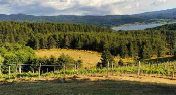 È una chicca dell’Europa e si trova in Calabria: scopri un posto da sogno